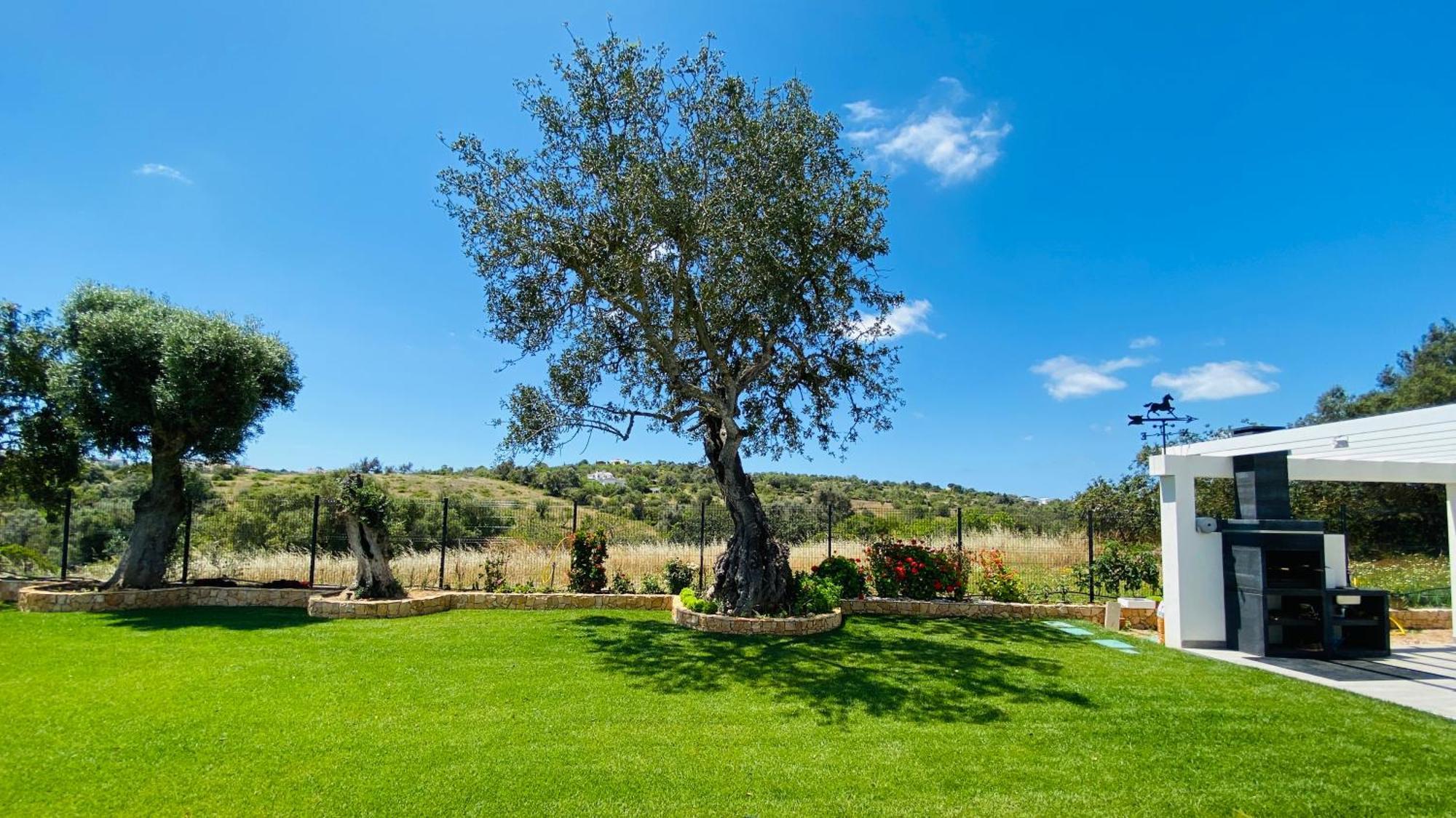 Eden By Check-In Portugal Βίλα Αλμπουφέιρα Εξωτερικό φωτογραφία